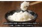 コシヒカリ こしひかり 10キロ 米 新米 精米 白米 コメ