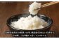 コシヒカリ こしひかり コメ 米 精米 新米