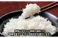島根 雲南 新米 白米 精米 コメ 米 コシヒカリ