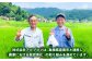 島根 雲南 新米 白米 精米 コメ 米 コシヒカリ