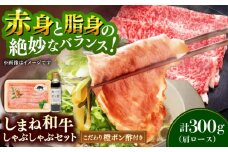 【肉質日本一！】しまね和牛しゃぶしゃぶセット 牛肩ロース300g （お肉ソムリエ開発橙ポン酢付）国産牛 牛 和牛 黒毛和牛 ブランド牛 しゃぶしゃぶ すき焼き ギフト 島根県雲南市/有限会社宮本食肉店 [AIDH003]