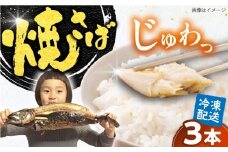 【郷土料理】焼さば 3本 | 焼さば 魚 さば 焼き魚 郷土料理 塩さば 鯖 さば 冷凍 食品 小分け 大容量 人気 魚 魚介 海鮮 弁当 惣菜 贈答 プレゼント ギフト お取り寄せ グルメ 島根県雲南市/長谷川鮮魚店 [AICG004]