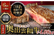 【冷蔵配送】全国大会W受賞！奥出雲和牛サーロインステーキ4枚の定期便×6回 （毎月24日お届け）【牛肉 定期便 サーロインステーキ 170g×4枚 6回 ステーキ 人気 冷蔵 国産 奥出雲和牛 黒毛和牛 ブランド牛 贅沢 お祝い 贈り物 プレゼント ギフト】