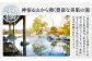 「出雲国風土記」にも薬湯として記される亀高温泉。保湿効果が高く、湯上り肌はしっとりすべすべ。静寂に包まれた露天風呂でリラックス！