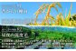 仁多郡内の田んぼは、全国棚田百景に選ばれた棚田もあり、ほとんどが昔ながらの棚田です。