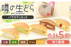 噂の生どらバラエティセット5個入( 小倉 プリン 抹茶 珈琲 チョコ )【 生どら どらやき どら焼き 5種 各1個 お菓子 詰め合わせ セット 個包装 スイーツ 特製クリーム 洋風どら焼き 冷凍 洋菓子 和菓子 おやつ 茶菓子 おしゃれ 贈り物 ギフト プレゼント お土産 】