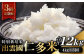 特別栽培米！出雲國仁多米 4kg×3回定期便／合計12kg