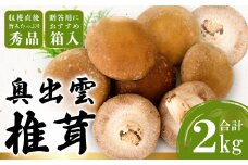 「奥出雲椎茸」秀品 箱入 2kg 【椎茸 生しいたけ 2kg 肉厚 収穫直後 サイズ混合 新鮮 旨味たっぷり 菌床栽培 国産 きのこ キノコ 野菜 料理 食品 産地直送 自宅用】