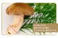 椎茸は足もおいしい！切り落とすのは、軸の下の5mm程度。石づきのかたい部分だけです。