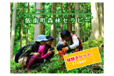 飯南町森林セラピー®チケット（１名～６名様分）【 島根県 飯南町 体験型 森林浴 セラピー 癒し リラックス効果 リラックス ストレス解消 リフレッシュ 心身 健康 増進 疾病予防 予防 ライフスタイル 見直し 改善 免疫力向上 せせらぎ 木漏れ日 観光 旅行 Ｂ-31】 