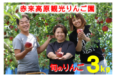Ａ-74　赤来高原観光りんご園　旬のりんご　約３ｋｇ　【10～12個 島根県産 飯南町産 果物 フルーツ リンゴ 旬 完熟 甘い あまい 厳選 赤来高原観光りんご園 島根県唯一 りんご園 期間限定】