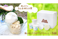 海と山のコラボアイスセット（６個）【 アイスクリーム 食べ比べ カップアイス 6個入 ミルク キャラメル セット 詰め合わせ 贈り物 贈答 プレゼント 人気 アイス あいすくりーむ 手作り フレッシュミルク 焼きいも バニラ 抹茶 藻塩ヨーグルト 】A-20