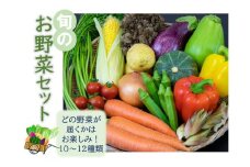 【期間限定】高原の町「飯南町」旬のお野菜セット～いっぺんたべてみんさい♪（２０セット限定）【 新鮮野菜 高原野菜 旬 特産品 お取り寄せ 少量多品種 少量多品目】A-120 