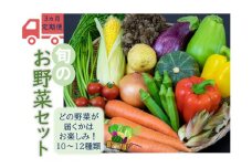 【３ヵ月定期便】高原の町「飯南町」旬のお野菜セット（２０セット限定）【 新鮮野菜 高原野菜 旬 特産品 お取り寄せ 少量多品種 少量多品目】C-121