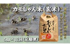 【令和6年度産】コシヒカリ（玄米）カモしゃん米 5kg 【 定期便 12回 アイガモ あいがも 合鴨 かも カモ コシヒカリ お米 農家直送 無農薬 化学肥料不使用 玄米 精米 選択可能 安心 安全 新米 令和6年度産 島根県飯南町 D-156 】