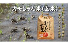 【令和6年度産】コシヒカリ （玄米）カモしゃん米　5kg 【 アイガモ あいがも 合鴨 かも カモ コシヒカリ お米 農家直送 無農薬 化学肥料不使用 玄米 安心 安全 新米 令和6年度産 島根県飯南町 A-151 】