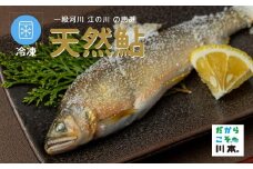 080311【一級河川・江の川の恵み・島根県産】天然鮎約800ｇ・冷凍