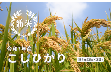 150287 【令和7年産】しまね川本 こしひかり 4kg（2kg×2）