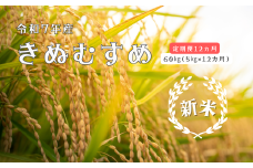150263【令和7年産／お米定期便／12ヵ月】しまね川本 きぬむすめ 5kg (計60kg）
