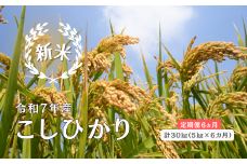 150260【令和7年産／お米定期便／6ヵ月】しまね川本 こしひかり 5kg (計30kg）