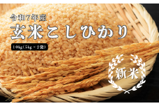 150253【令和7年産】しまね川本 玄米こしひかり 10kg(5kg×2)