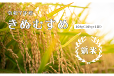 150252【令和7年産】しまね川本きぬむすめ10kg
