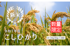 150250【令和7年産】しまね川本 こしひかり 10kg(5kg×2)