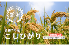 150258【令和7年産／お米定期便／3ヵ月】しまね川本 こしひかり 2kg×4袋 (計24kg）
