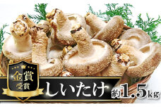 菌床しいたけ　かご入り【椎茸 約1.5kg 15~20個入り かご入り 野菜 山菜 きのこ キノコ 菌床 こだわり 肉厚 ステーキ オーブン焼き 冷蔵】