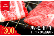 【とろける美味しさ】石見和牛　ミックス焼肉用　300g【牛肉 和牛 ミックス 焼肉用 300g 1人前程度 石見和牛 希少性 ブランド ブランド牛 焼肉 焼き肉 BBQ バーベキュー 贅沢 冷蔵 チルド】