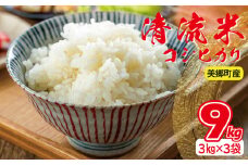 清流米（コシヒカリ）3kg×3袋　計9kg【お米 9kg 米 精米 コシヒカリ こしひかり 3kg 3袋】