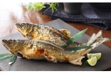 【一級河川・江の川の恵み】生粋鮎　0.8kg【約800g 13尾前後 魚介類 魚 川魚 あゆ アユ 高鮮度 冷蔵 期間限定 季節限定 7月～10月中旬発送】