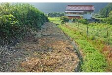 空き家・空き地の草刈り　2.5時間コース