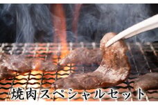 【一度にお届け！】石見和牛でちょっと贅沢！焼肉スペシャルセット（合計約1.3kg）【焼肉用 スライス ミックス 300g 肩ロース 450g ロース 550g 合計約1.3kg 3～4人前程度 牛肉 石見和牛 焼き肉 バーベキュー BBQ 黒毛和牛 ブランド牛 限定生産 希少 贈答 ギフト 自宅用 贅沢 冷蔵 チルド】