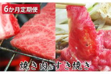 【定期便6ヶ月】石見和牛でちょっと贅沢！焼肉・すき焼き定期便（合計約2.6kg）【定期便 6回 和牛 黒毛和牛 ミックス 肩ロース ロース すき焼き用 焼肉用 スライス スライス肉 肉 牛肉 ブランド牛 石見和牛 希少 雌牛 メス牛 血統 最高級 贅沢 ご褒美 毎月お届け 定期 おかず すき焼き 焼き肉 焼肉 贈答 お祝い ギフト プレゼント 冷蔵 チルド】