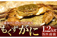 【先行予約】一級河川・江の川の恵み 島根県産 もくずがに 約1.2kg【8匹前後 オスメス無選別 甲殻類 蟹 カニ 川がに 川ガニ ツガニ ズガニ 大型 期間限定 季節限定 8月15日～10月31日発送 冷蔵】