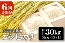 【定期便6ヶ月】令和5年産 石見地方 美郷町産 コシヒカリ 5kg【令和5年度産 定期便 6回定期 米 精米 白米 ブランド米 こしひかり 5kg 5kg×6回 合計30kg 2023年産】