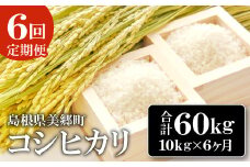 【定期便6ヶ月】令和5年産 石見地方 美郷町産 コシヒカリ 10kg【令和5年度産 定期便 6回定期 米 精米 白米 ブランド米 コシヒカリ こしひかり 10kg 1袋 6回 合計60kg 2023年産】