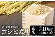〈先行予約〉新米 令和6年産 美郷町産コシヒカリ 玄米 10kg【お米 10kg 1袋 玄米 ブランド米 米 こしひかり お米 先行予約 2024年産】