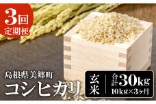 【定期便3ヶ月】令和5年産 石見地方 美郷町産 コシヒカリ 玄米 10kg【令和5年度産 定期便 3回定期 米 玄米 ブランド米 こしひかり 10kg×3回 合計30kg 2023年産】
