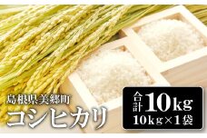 〈先行予約〉新米 令和6年産 美郷町産コシヒカリ 白米 10kg【お米 10kg 1袋 精米 ブランド米 米 こしひかり お米 先行予約 2024年産】