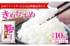 令和6年産 美郷きぬむすめ 10kg（5kg×2袋）【米 お米 精米 白米 ブランド米 きぬむすめ 10kg 5kg×2袋 2024年産】