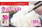 美郷きぬむすめ　10kg（5kg×2袋）をお届けします！