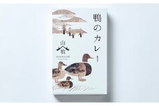 鴨のカレー 250g×3個セット【カモ 手羽元 ジビエ カレー スープカレー レトルト 常備食 おかず 簡単調理 セット】