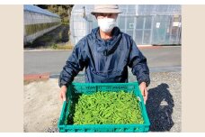 美郷農園　スナップエンドウ【スナップエンドウ 1kg 野菜 エンドウ豆 えんどう豆 おつまみ 12月～5月発送】