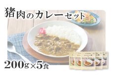 イノシシ肉のカレーセット【スパイスカレー 200g×5個 肉 イノシシ肉 天然 ジビエ 加工食品 レトルト 温めるだけ 簡単調理 気軽】