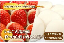 【先行予約】和菓子職人がつくるいちご大福 と杵つき白餅セット