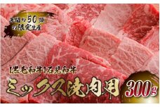 【黒毛和牛】石見和牛 ミックス焼肉用 300g