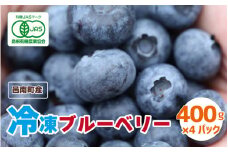 有機 冷凍ブルーベリー1.6kg（400g×4袋)
