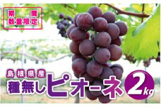 先行予約【糖度18度以上！】種無しピオーネ約2kg  9月中旬よりお届け